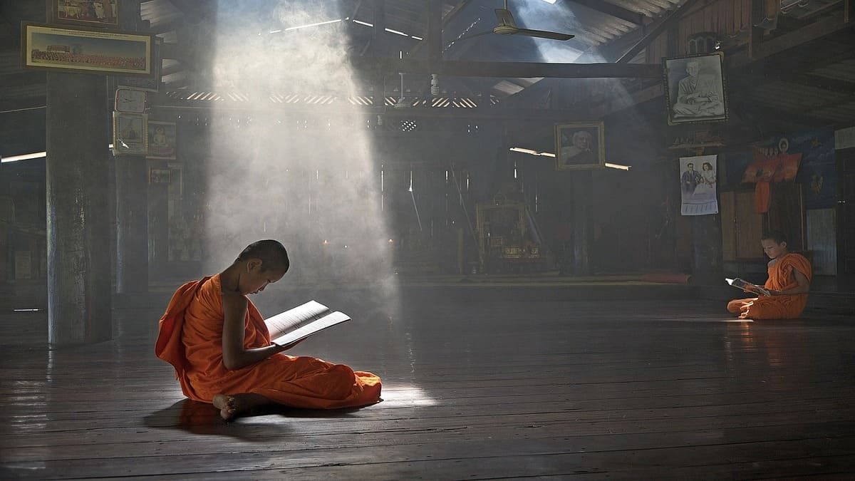 De beste truffels voor diepgaande meditatie en zelfreflectie